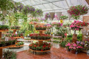 Kukkatarha Koskisen myymälässä on laaja valikoima värikkäitä kukkia