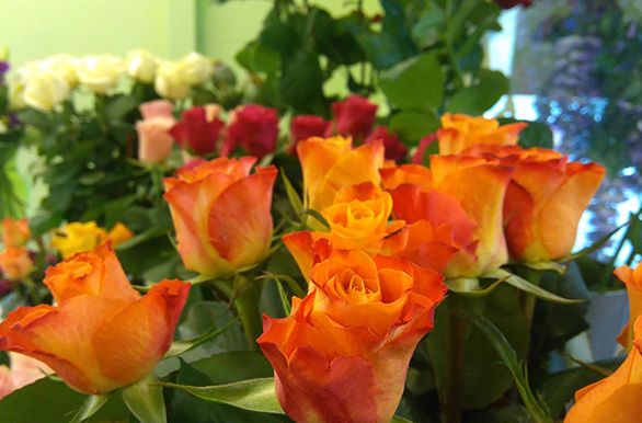 Eri värisiä ruusuja Kukkatarha Koskisen myymälässä
